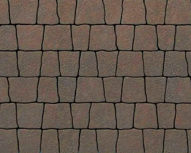 Bruschatka beganit